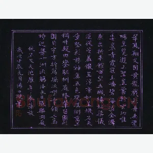 汤力 硬笔楷书 王宠诗西苑一首