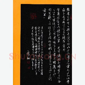 秦剑 硬笔草书 海岳名言节录
