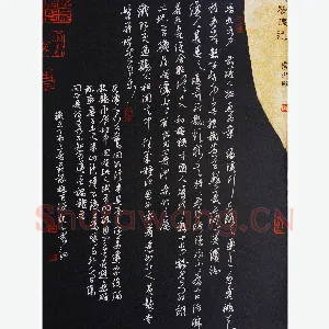 秦剑 硬笔草书 桃花源记