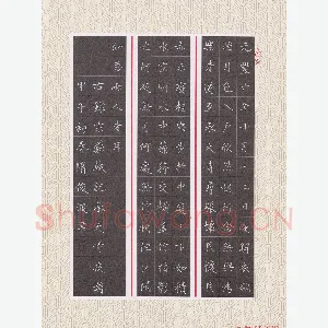 隋俊波 硬笔楷书 苏轼记承天寺夜游