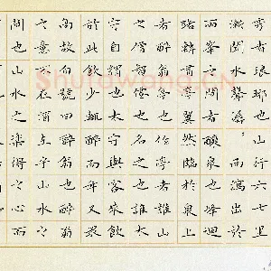 张建华 硬笔楷书 醉翁亭记选抄