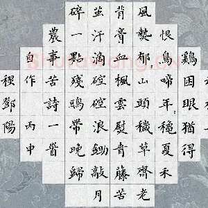 邓阳 硬笔楷书 自作诗一首