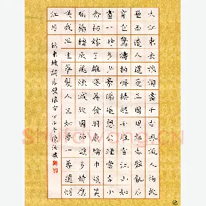 陈汝怀 硬笔楷书 苏轼词念奴娇赤壁怀古