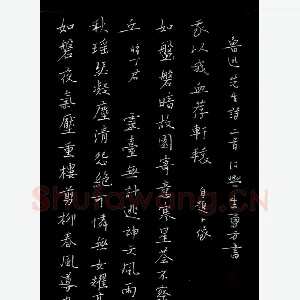 朱勇方 硬笔楷书 鲁迅诗二首