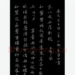 朱勇方 硬笔楷书 鲁迅诗二首