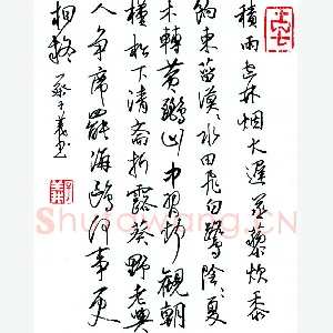 蔡子义 硬笔行书 王维诗积雨辋川庄作