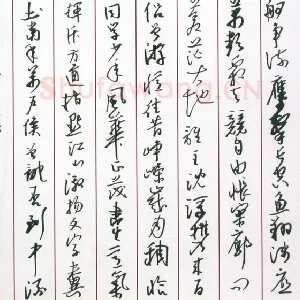 汪寅生 硬笔行书 毛泽东词