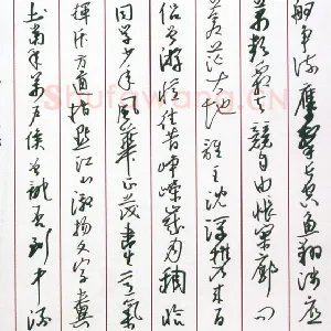 汪寅生 硬笔行书 毛泽东词