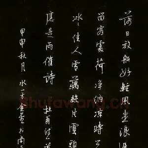 蔡金星 硬笔行书 杜甫诗一首