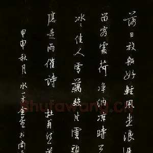 蔡金星 硬笔行书 杜甫诗一首