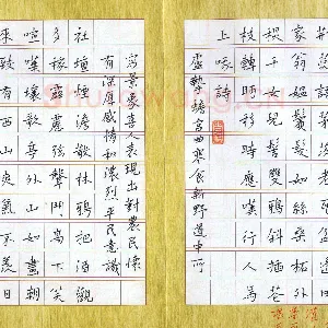 郑可春 硬笔楷书 元曲选抄