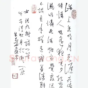 朱玉华 硬笔行草 张九龄诗一首