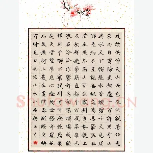 吴玉生 硬笔楷书 与朱元思书