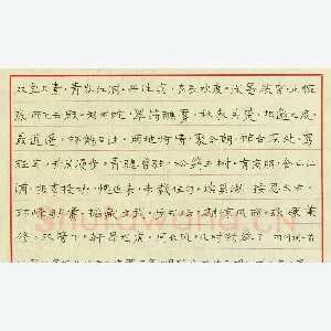 陈舟波 硬笔楷书 羽闲词