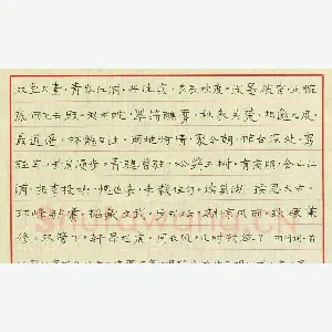 陈舟波 硬笔楷书 羽闲词