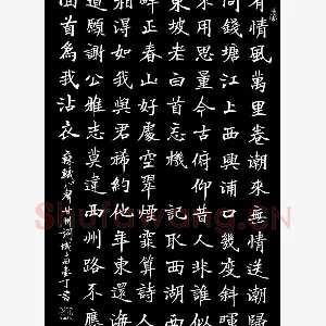 丁宁 硬笔楷书 苏轼八声甘州词