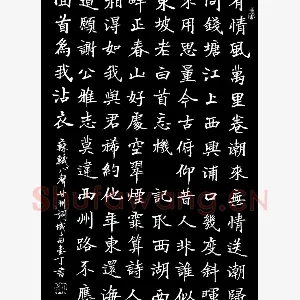 丁宁 硬笔楷书 苏轼八声甘州词