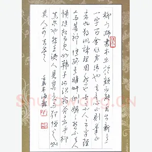 林海龙 硬笔行书 书论选抄柳少师书