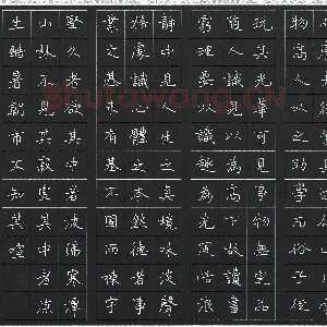 蔡金星 硬笔楷书 菜根潭节选