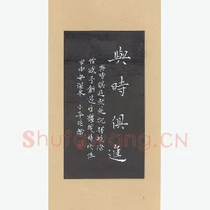 张小平 硬笔楷书 与时俱进
