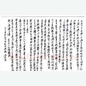 姚建杭 硬笔行草 岳阳楼记