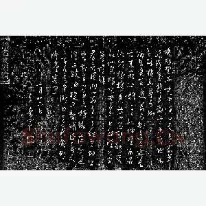 花爱军 硬笔草书 陈乔森题画诗