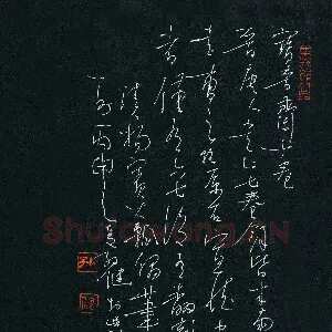 孙健 硬笔草书 杨宾大瓢偶笔