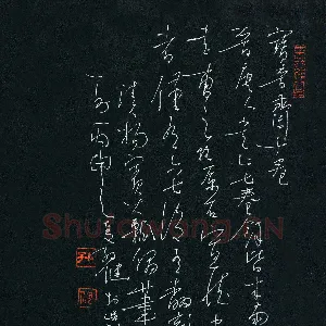 孙健 硬笔草书 杨宾大瓢偶笔
