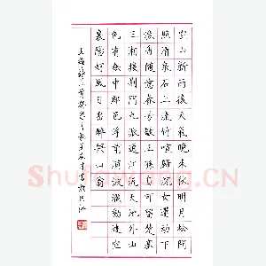 王友才 硬笔楷书 王维诗二首