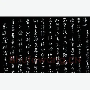 雷金鹏 硬笔草书 萧退庵论书选