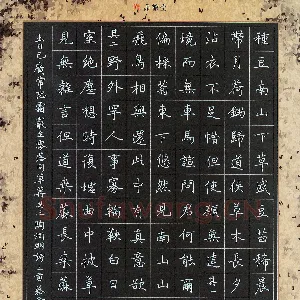 蔡金星 硬笔楷书 陶渊明诗三首