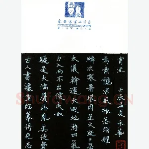 何永华 硬笔楷书 书论选录