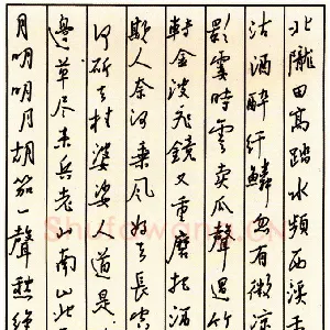 孙步国 硬笔行书 宋词三首
