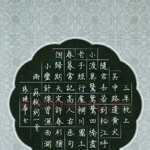 张晓华 硬笔楷书 苏轼词一首