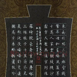 蔡金星 硬笔楷书 柳永词望海潮