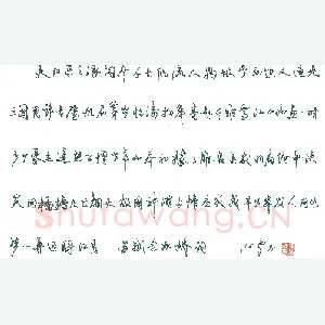 沈鸿根 钢笔行草 苏轼念奴娇词