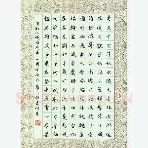 施建利 硬笔楷书 辛弃疾词一首