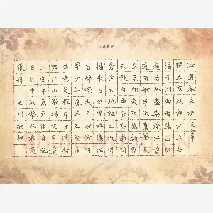 赖敬槐 硬笔楷书 毛泽东词沁园春长沙