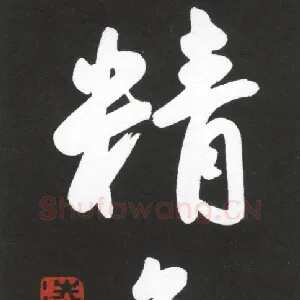 凌晓兵 硬笔行书 精气神