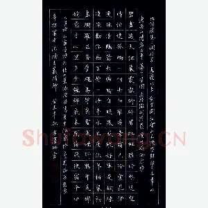 金泽珊 硬笔楷书 词一首