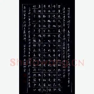 金泽珊 硬笔楷书 词一首