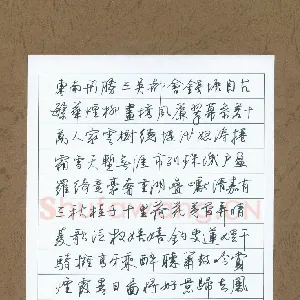 凌晓兵 硬笔行书 柳永词