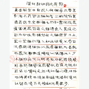 陈新亚硬笔隶书蒲松龄聊斋志异节录 硬笔书法作品
