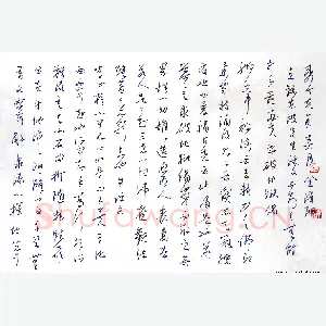 金泽珊硬笔行草 东坡跋文二则