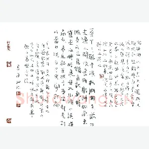 金泽珊硬笔行草 东坡词江神子