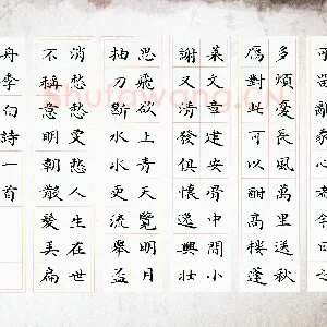 秦连柏 硬笔楷书 李白诗一首