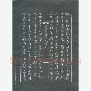 唐国生 硬笔楷书 书谱节选