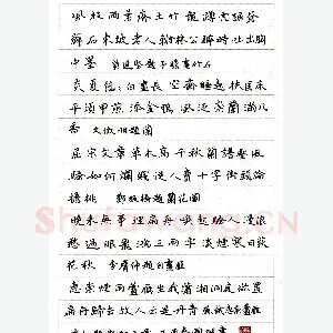 陈国挺硬笔楷书古人题画诗五首 硬笔书法作品