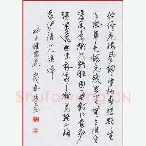 林东 硬笔行书 柳永蝶恋花
