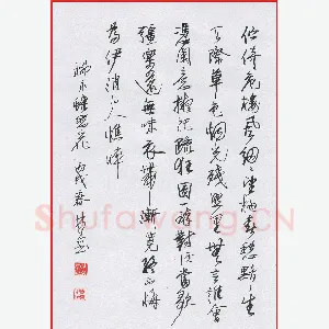 林东 硬笔行书 柳永蝶恋花